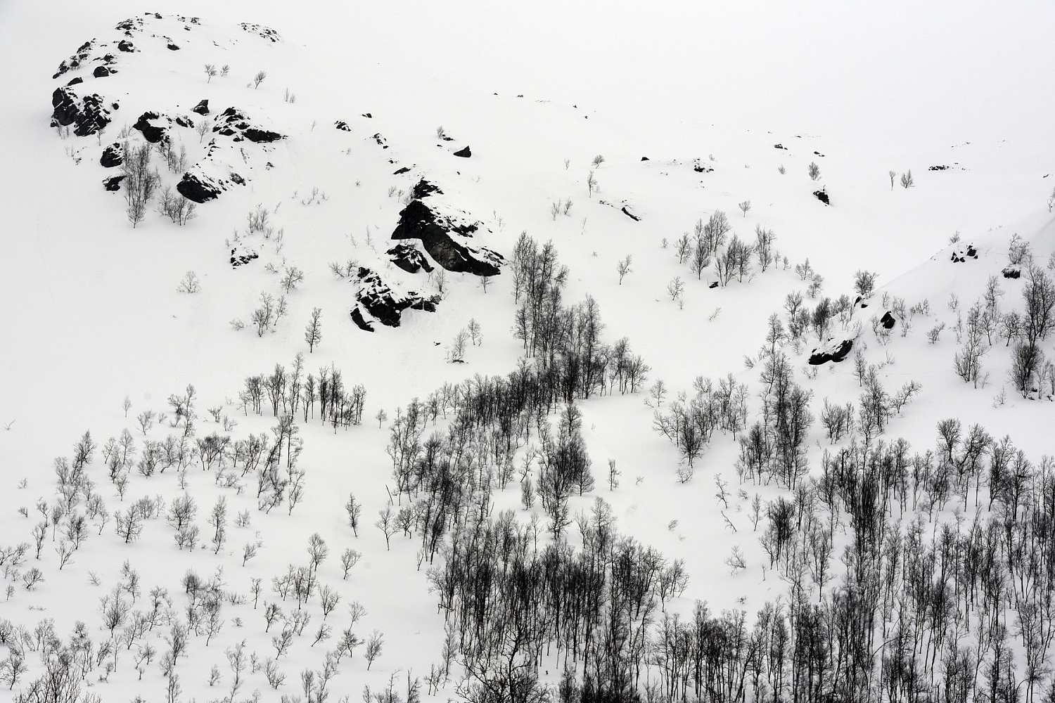 Dolph kessler - Lapland 
