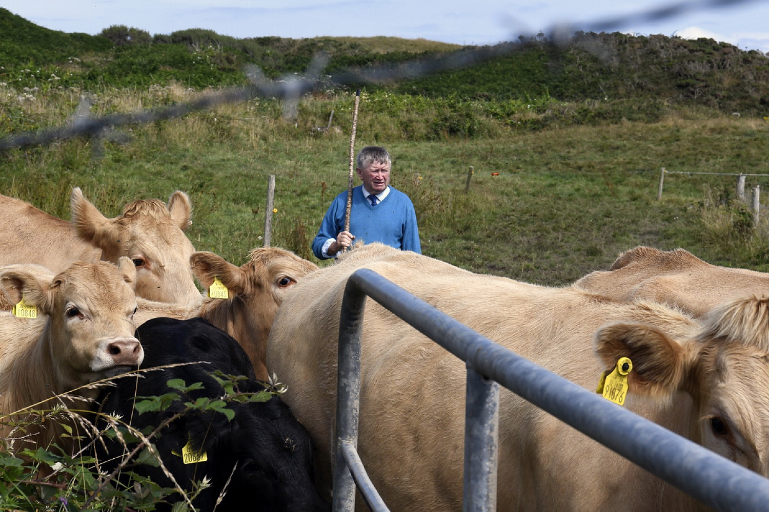 Dolph Kessler - Gokane, the unique everydayness of Ireland 