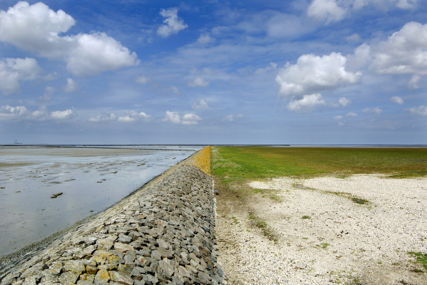 Dolph Kessler - Watery edge of Friesland  